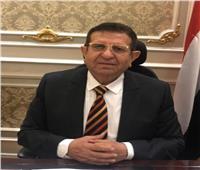برلماني: وحدة المصريين خط الدفاع الأول لاستقرار الوطن