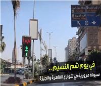 إجازة شم النسيم.. سيولة مرورية في شوارع القاهرة والجيزة| فيديو