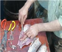 الفسيخ والرنجة «الأكلة الرسمية» لأهالي الإسماعيلية في شم النسيم| فيديو