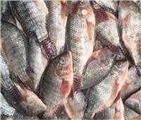 أسعار الأسماك اليوم 8 مايو بسوق العبور