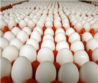 أسعار البيض في الأسواق اليوم الخميس 9 مايو