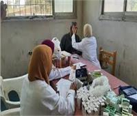 تنظيم قافلة طبية مجانية بقرية المنشاة الصغرى بمدينة كفر شكر