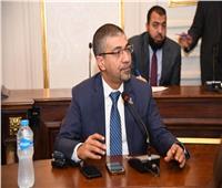 برلماني: الرئيس السيسي يقود مجهودات مضنية في دعم القضية الفلسطينية      