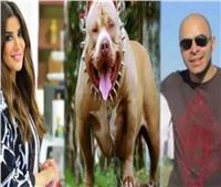 قرار قضائي جديد بشأن زوج المذيعة أميرة شنب في واقعة الكلب  
