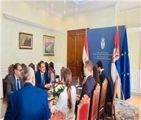 سفير مصر ببلجراد يلتقي وزير الخارجية الصربي الجديد