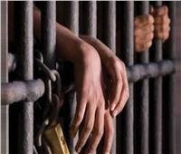 السجن 10 سنوات للمتهمين بالاتجار في المواد المخدرة بالقليوبية