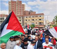 الإسماعيلية تنتفض للتضامن مع فلسطين والتنديد بالعدوان الإسرائيلي 