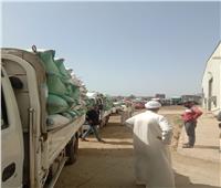 استلام 174 ألف طن قمح من المزارعين منذ بدء التوريد بكفر الشيخ‎