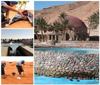 إجراءات هامة لتعزيز منظومة السياحة العلاجية والاستشفائية في مصر