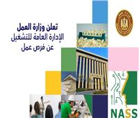 «العمل» تعلن عن 945 وظيفة للمدرسين والممرضات في 13 محافظة
