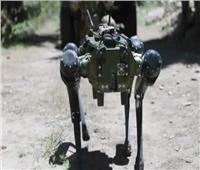 الجيش الأمريكي يكشف عن كلب آلي يستخدم الذكاء الاصطناعي 