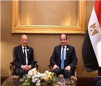 السيسي يلتقي رئيس مجلس القيادة الرئاسي اليمني