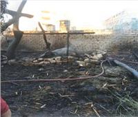 نفوق 17 رأس غنم في حريق منزل وحظيرة مواشي في أسيوط
