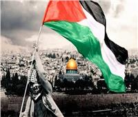 نرمين سعيد: الاعترافات الأوروبية بفلسطين تزيد من عزلة إسرائيل 