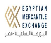 تعيين زكريا حمزة رئيسا تنفيذيا« للبورصة السلعية مصر»