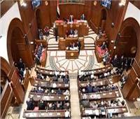 برلماني يطالب بدمج الهيئات والجهات متشابهة الاختصاصات