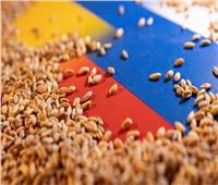 أوروبا تفرض رسوما على الحبوب المستوردة من روسيا وبيلاروسيا