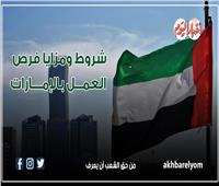 إنفوجراف | فرص توظيف للمصريين في الإمارات.. تعرف على الشروط