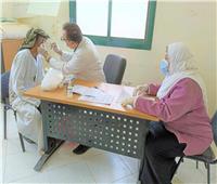 الكشف على 1314 حالة خلال قافلة طبية بقرية البراجيل في المنيا