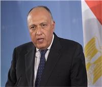 وزير الخارجية: التصريحات الأولية لحماس عن مقترح الهدنة «إيجابية»