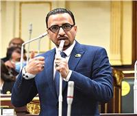 برلماني: مصر تواجه قوى دولية من أجل دعم القضية الفلسطينية