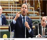 برلماني: مصر لا تتوقف عن جهودها المضنية لإنهاء نزيف الدم الفلسطيني