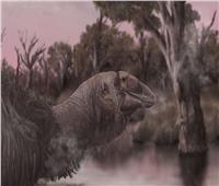 اكتشاف جمجمة طائر عملاق منقرض في أستراليا يكشف عن أسرار جديدة