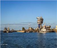 ميناء دمياط يستقبل 8 سفن محملة بـ61708 أطنان قمح وبضائع