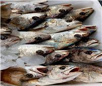 أسعار الأسماك اليوم 9 يونيو بسوق العبور