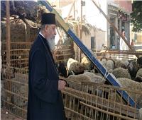 راعى كنيسة الأقباط يشترى خروف العيد لتوزيعه بالغردقة