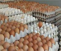 أسعار البيض اليوم 11 يونيو