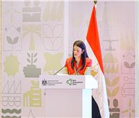 ننشر كلمة وزيرة التعاون الدولي بالملتقى الأول لبنك التنمية الجديد في مصر