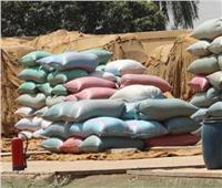  محافظ المنيا : شون وصوامع المحافظة تواصل استقبال القمح 