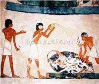 من موائد القرابين إلى المقابر: رحلة الأضاحي في الحضارة الفرعونية