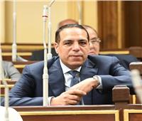 نائب مستقبل وطن: تجربة مصر في تطوير الموانئ ناجحة للغاية