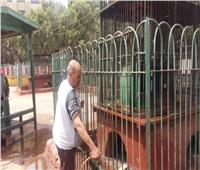 حديقة الحيوان بالزقازيق تتزين لاستقبال المواطنين في عيد الأضحى 2024 