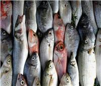 أسعار الأسماك اليوم 17 يونية بسوق العبور