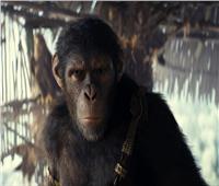 فيلم Kingdom of the Planet of the Apes يحقق 375 مليون دولار في أكثر من شهر