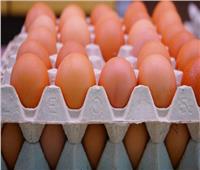 أسعار البيض في الأسواق اليوم الخميس 20 يونيو