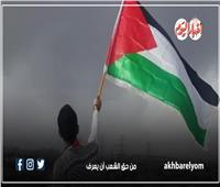 إنفوجراف| 9 دولة اعترفت رسميًا بدولة فلسطين بعد حرب غزة