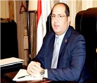 برلمانى : ثورة 30 يونيو أسست لمرحلة جديدة في تاريخ مصر  