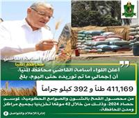 شون وصوامع المنيا تستقبل 411 ألف طن من محصول القمح لموسم حصاد 2024