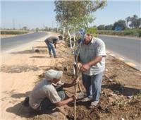 أستاذ مناخ يشيد بزراعة أكثر من 3 ملايين شجرة ضمن المبادرة الرئاسية بالمحافظات