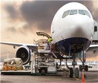 مركز الشحن الجوي في مطار بيروت: تداول البضائع والإجراءات الدولية