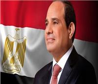 السيسي يصدر قراراً بتعيين هالة السعيد مستشاراً لرئيس الجمهورية للشئون الاقتصادية