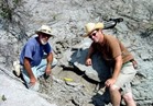 العثور علي حفرية لثلاثين بيضة لديناصور ترجع إلي 190 مليون سنة بفرنسا