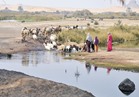 بحيرة دهشور المسحورة مازالت مصدر مياهها مجهولا