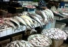 استقرار أسعار الأسماك بسوق العبور