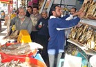 محافظ الإسكندرية يعلن إنهاء كافة استعدادات استقبال الأعياد وشم النسيم