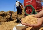 "الزراعة" تشدد إجراءاتها مع بداية موسم توريد القمح 